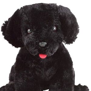 Meet your Posher, Jen